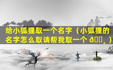 给小狐狸取一个名字（小狐狸的名字怎么取请帮我取一个 🕸 ）